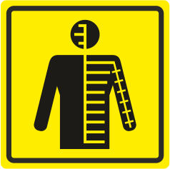 Б 37 Флеболог