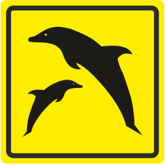 П 09 Дельфинариум