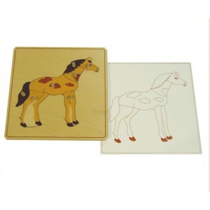 Строение лошади с контуром арт. МП13256