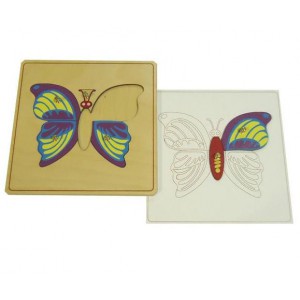 Строение бабочки с контуром арт. МП13252