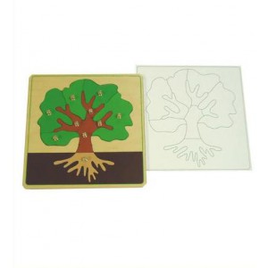 Части дерева с контуром арт. МП13247