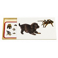 Карточки Позвоночные и беспозвоночные арт. МП19077