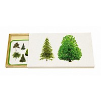 Карточки Деревья по листве арт МП 19030