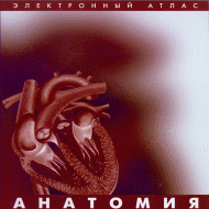 Анатомия. Цифровой атлас школьника арт. RN9994