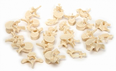 Позвонки (набор из 24 штук) арт. ФгК26855