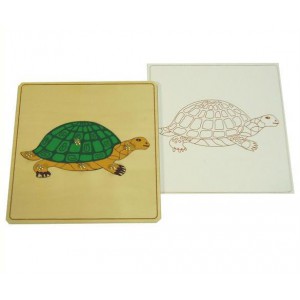 Строение черепахи с контуром арт. МП13255