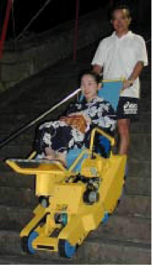 Подъемник для инвалида