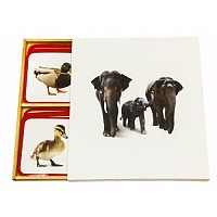 Карточки Семья животных арт. МП19171