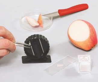 Биология. Основы биологического практикума. Комплект учебного оборудования (методичка в комплекте) а