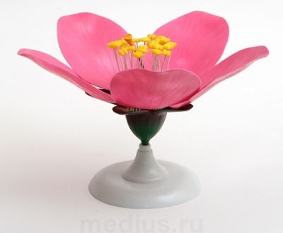 Модель цветка персика арт. ФгК26798