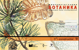 Ботаника (микрофотографии). Цифровая база изображений арт. RN9990