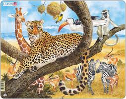 Леопард FH8 (пазлы) арт. МП19974