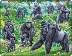 Гориллы (пазлы) арт. МП19951