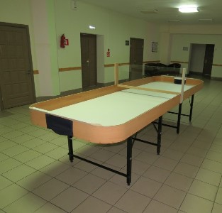 Настольный теннис для слепых Шоудаун арт. ДС23696