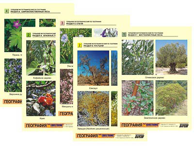 Гербарий фотографический по географии арт. ФгК26874