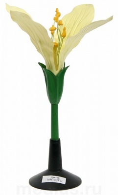 Модель цветка капусты арт. ФгК26797