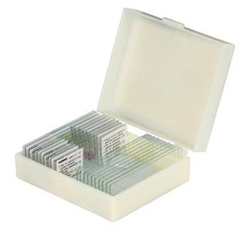 Набор микропрепаратов Konus 10: «Рыбы, лягушки и другие земноводные»