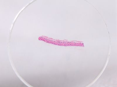 Набор микропрепаратов Konus 10: «Биология» (часть 2)