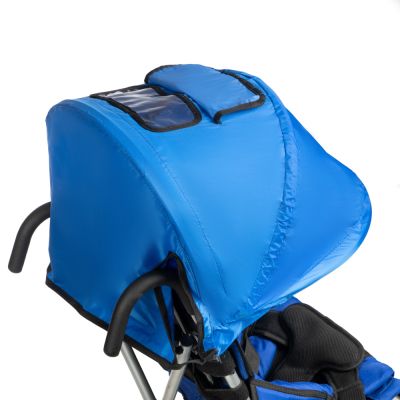 Инвалидная коляска для детей с ДЦП Lion