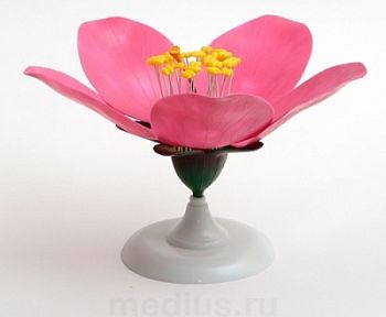 Модель цветка персика арт. ФгК26798