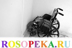 Основные виды деятельности