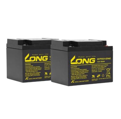 Аккумулятор Long-WP50-12NE