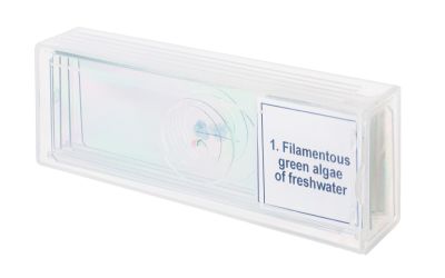 Набор микропрепаратов Levenhuk Discovery Prof DPS 5. «Биология»