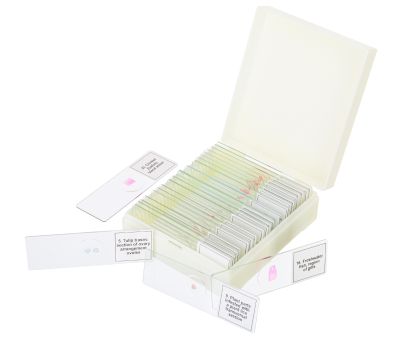 Набор микропрепаратов Levenhuk Discovery Prof DPS 25. «Биология, Птицы и др.»