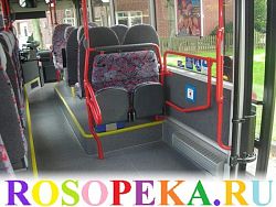 Избранные вопросы и ответы университета Маккуори и «Маленьких ступенек»