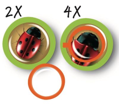 Банка для насекомых Navir с лупой 2x/4x и пинцетом