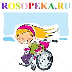 Организация адаптированного обучения, развития и социализации