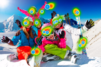 Программное обеспечение Gaze Viewer арт. ИА24697