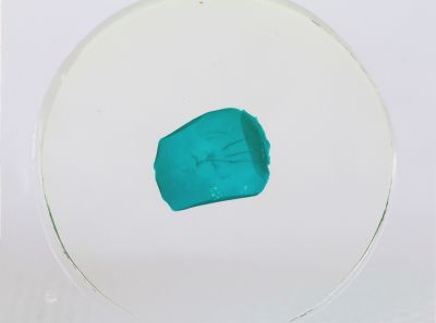 Набор микропрепаратов Konus 10: «Рыбы, лягушки и другие земноводные»