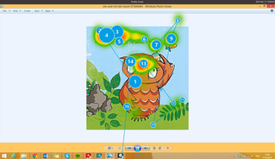 Программное обеспечение Gaze Viewer арт. ИА24697