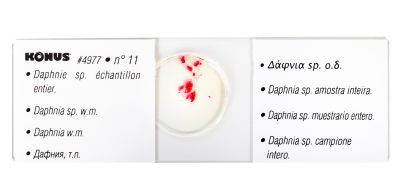 Набор микропрепаратов Konus 25: «Беспозвоночные и насекомые»