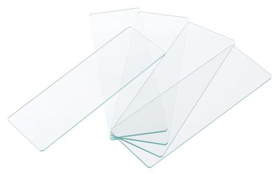 Стекла предметные Levenhuk G50, 50 шт.