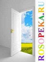 О волонтерском движении