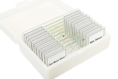 Набор микропрепаратов Bresser 10 шт., в кейсе