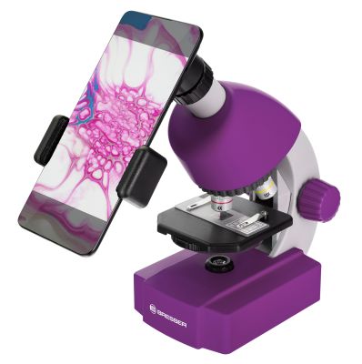 Микроскоп Bresser Junior 40x-640x, фиолетовый