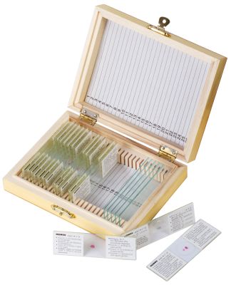 Набор микропрепаратов Konus 15: «Размножение беспозвоночных»