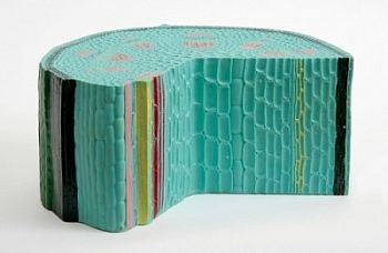 Модель «Строения стебля» арт. ФгК26795