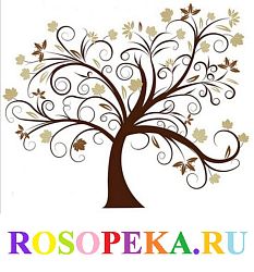 Важность дополнительного обучения и тренировок специалистов