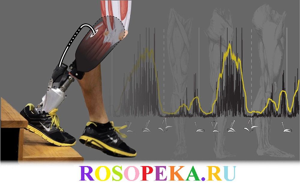 Общие принципы формирования государственной политики в отношении инвалидов