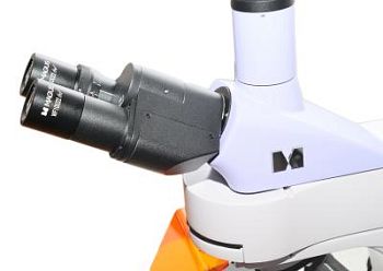 Микроскоп люминесцентный MAGUS Lum 400