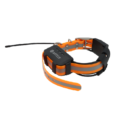 GPS-ошейник ARTELV COLLAR