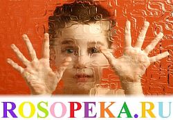 - Австрия. Государственная политика