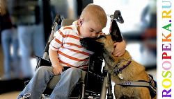 Правовые гарантии социальной защиты людей с инвалидностью