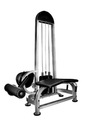 ТГ-0120-C. Тренажер для бицепса бедра  арт. PrG24984