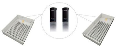 Dynamic SOUNDFIELD DigiMaster 7000 (с набором сетевых кабелей и адаптером питания)