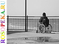 Партнерство в сфере социальной защиты инвалидов